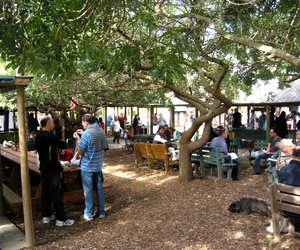 37 Years of Community Market